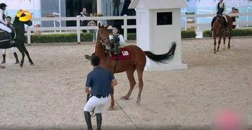 摔马视频,摔马视频背后的惊心动魄