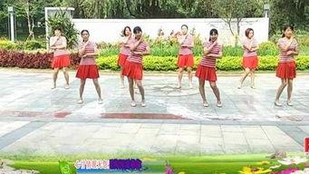 广场舞甩甩球视频